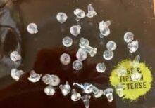 KODEX SHANK STOPER CLEAR